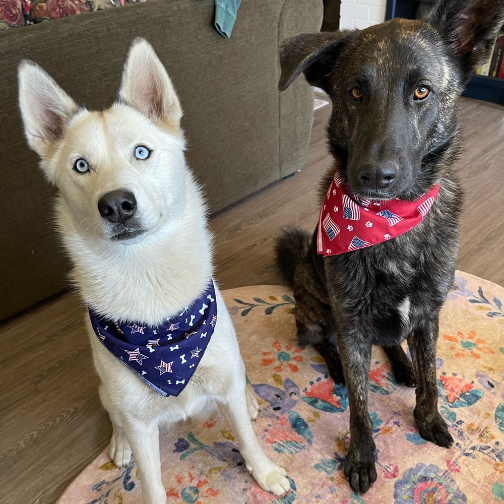 Meet your Posher, Mikala